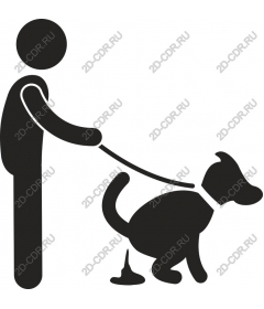 Playful dog walking