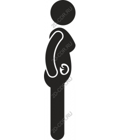  Elegant pregnant figure