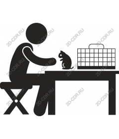The interaction of human and pet