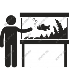 Interaction with aquarium