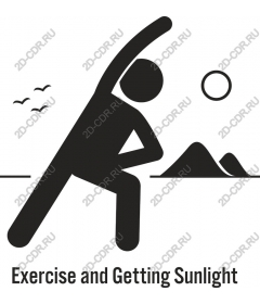  Exercise and getting sunlight