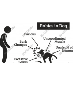  Awareness about rabies
