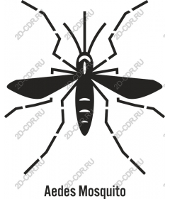  A mosquito of the genus Aedes