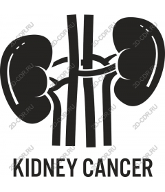  Awareness of kidney cancer