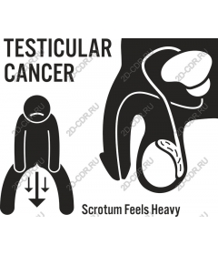  Awareness of testicular cancer