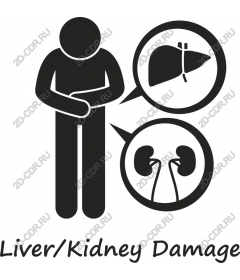  Awareness of the damage to the liver and kidneys