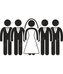 Elegant groom and the bride
