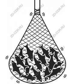  Fishing net full of fish