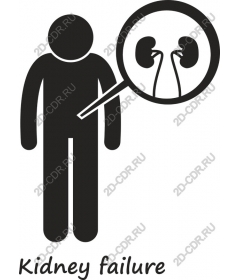 Icon renal failure