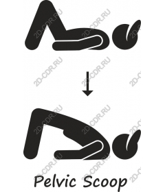  Exercise "Pelvic scoop"