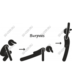 Burpee