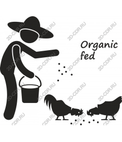 Farmer feeding chickens organic products