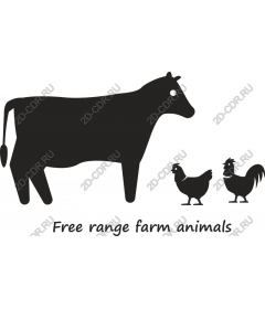 Animals on the farm free range