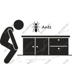 Ants under the counter