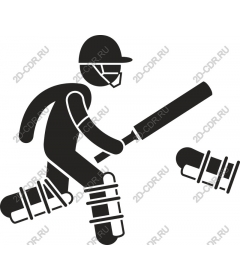 Dynamic cricketer