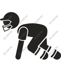 Dynamic cricketer