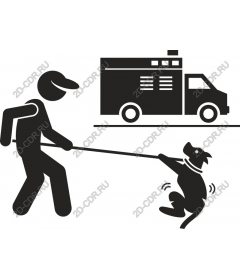 Playful dog walking paragraph