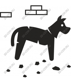 Playful dog