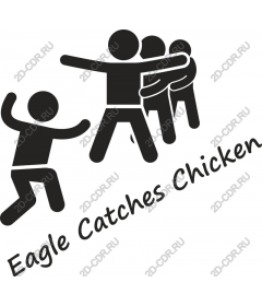  Eagle catches the chicken