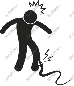  Amazing encounter with a snake