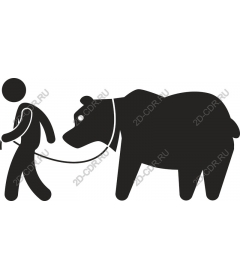  Bizarre gait of a bear