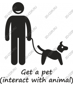 To have a pet (the interaction with the animals)