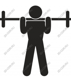 Dynamic lifter