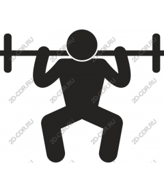 Dynamic lifter