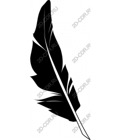  Black feather