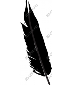 Black feather - Elegant