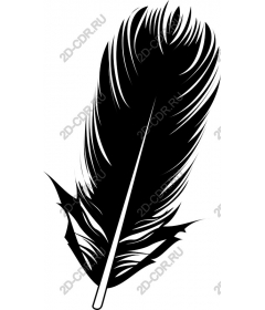  Feather