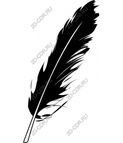  Black feather