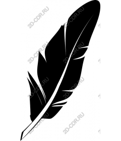  Elegant black feather