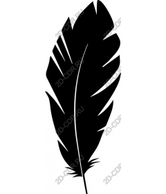  Black feather - Minimalistic