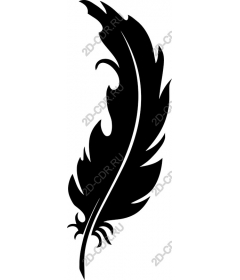  Elegant black feather