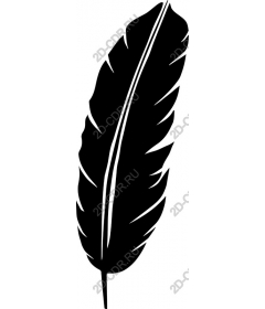  Feather