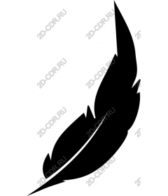  Elegant black feather