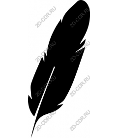  Elegant feather