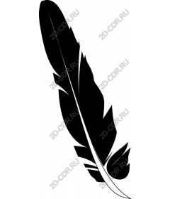  Elegant black feather