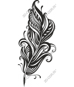  Elegant black feather