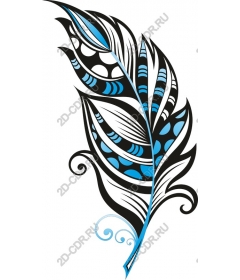  Elegant blue feather