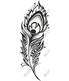  Elegant feather