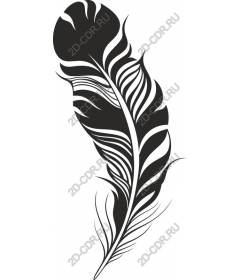  Elegant black feather