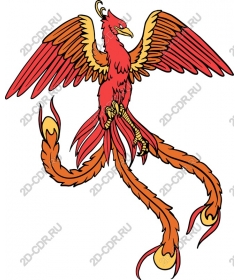  Bright Phoenix
