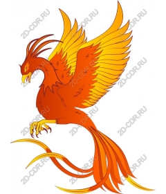  Fiery Phoenix