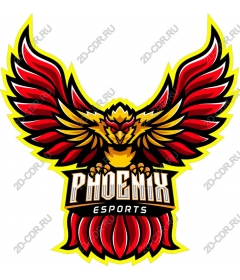  Phoenix Esports