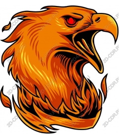 Fiery Phoenix
