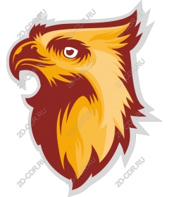  The majestic head of a Griffin