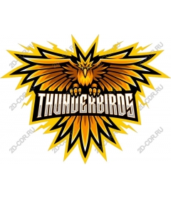  The Thunderbirds