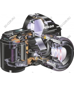 Cross section of a Nikon digital SLR cameras